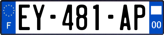 EY-481-AP