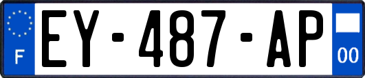 EY-487-AP