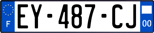 EY-487-CJ