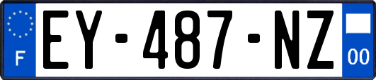 EY-487-NZ