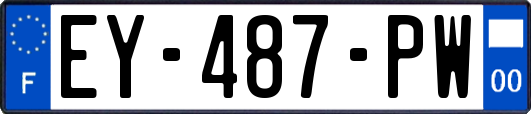 EY-487-PW
