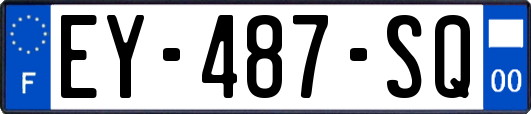 EY-487-SQ