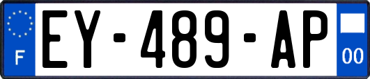 EY-489-AP