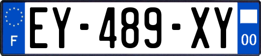 EY-489-XY