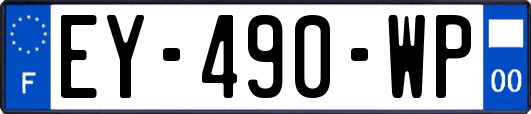 EY-490-WP