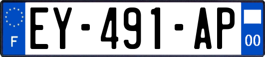 EY-491-AP