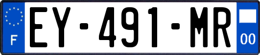 EY-491-MR