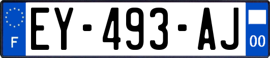EY-493-AJ