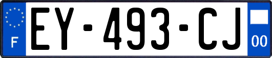 EY-493-CJ