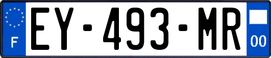 EY-493-MR