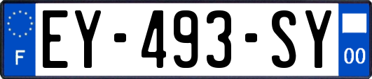 EY-493-SY
