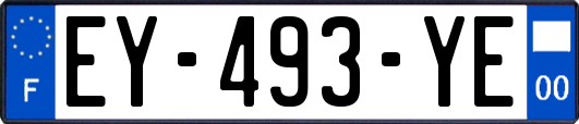 EY-493-YE