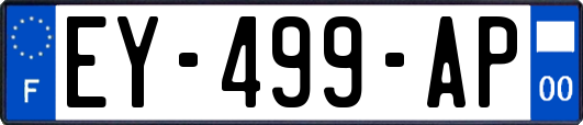 EY-499-AP