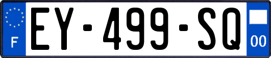 EY-499-SQ