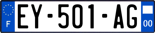 EY-501-AG