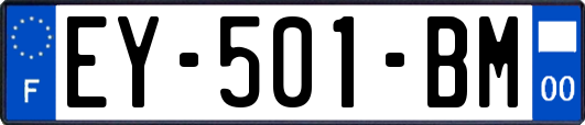 EY-501-BM