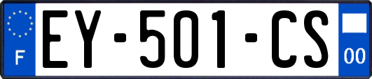 EY-501-CS