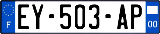 EY-503-AP