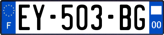 EY-503-BG