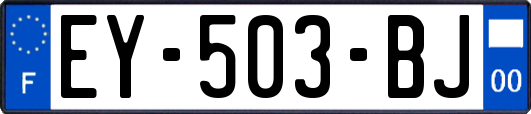 EY-503-BJ