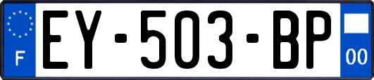 EY-503-BP