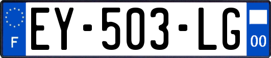 EY-503-LG