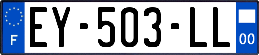EY-503-LL
