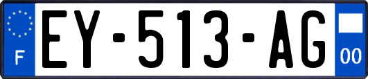 EY-513-AG