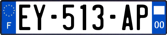 EY-513-AP