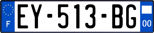 EY-513-BG