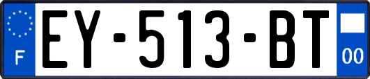 EY-513-BT