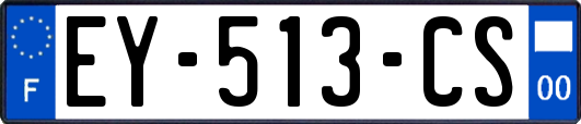 EY-513-CS