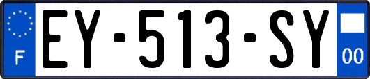 EY-513-SY