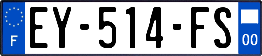 EY-514-FS