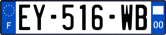 EY-516-WB