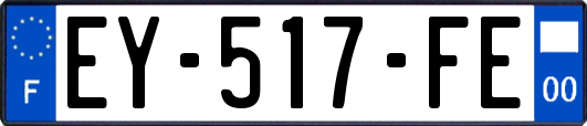 EY-517-FE