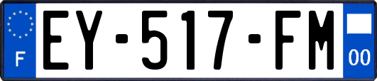 EY-517-FM