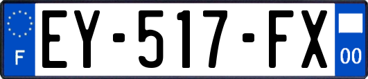 EY-517-FX