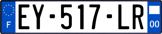 EY-517-LR