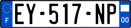 EY-517-NP