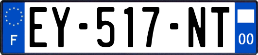 EY-517-NT