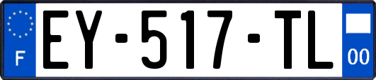 EY-517-TL