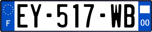 EY-517-WB
