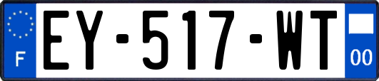 EY-517-WT