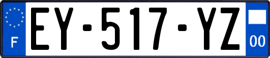 EY-517-YZ