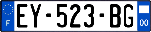 EY-523-BG