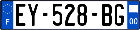 EY-528-BG