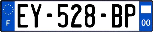 EY-528-BP