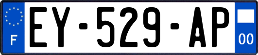 EY-529-AP