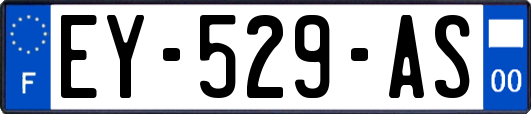 EY-529-AS